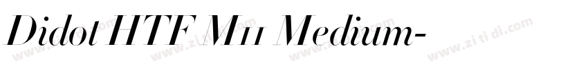 Didot HTF M11 Medium字体转换